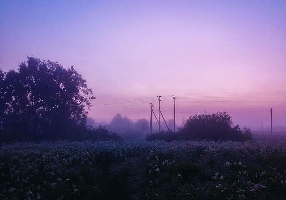 kaiyun-Shanks岩雀被Rookie蹲到，Soboro狼母豪取四杀团灭AL